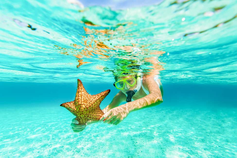 Dolphin Watching and Snorkeling